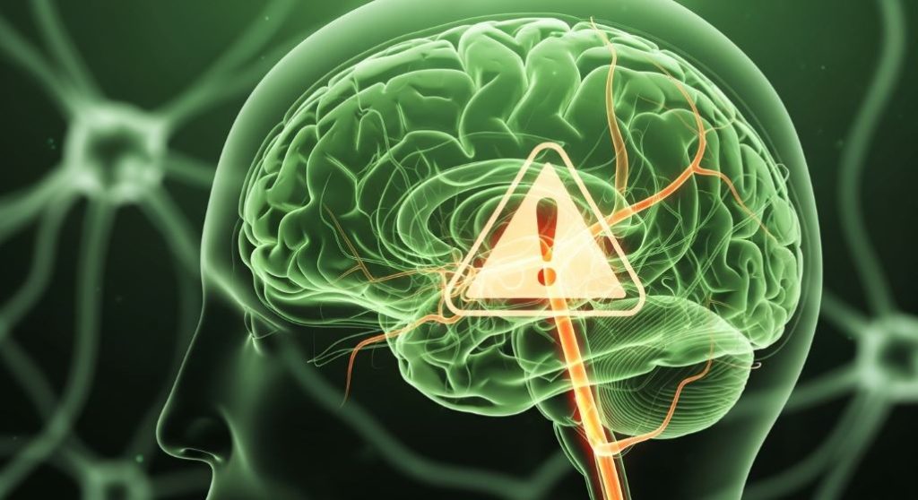 뇌졸중 전조증상과 위험을 시사하는 뇌와 혈관의 모습을 추상적으로 표현한 이미지. 녹색과 주황색이 조화롭게 사용되어 경각심을 일깨우면서도 희망적인 분위기를 나타냅니다.