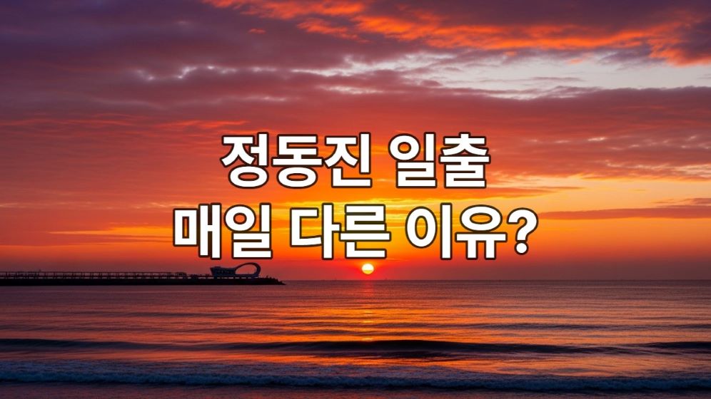 2026년 정동진 동해 바다 위로 붉게 떠오르는 해와 황홀한 일출 풍경